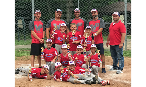 2019 WPLL 8U 1st place in Burrell Blast 